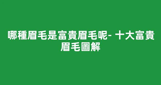 哪種眉毛是富貴眉毛呢- 十大富貴眉毛圖解